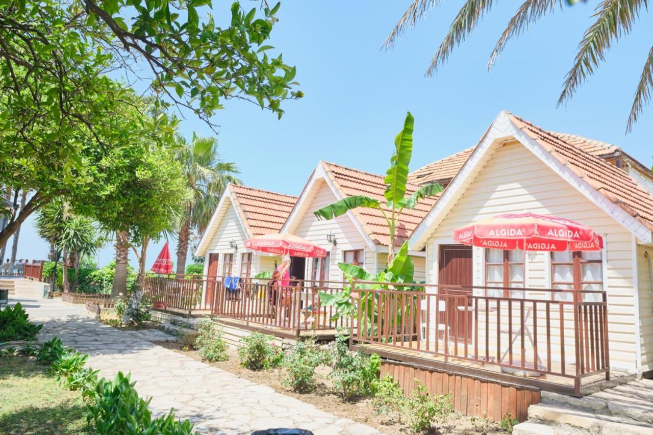 Clover Magic Nova Beach Hotel Sidé Extérieur photo